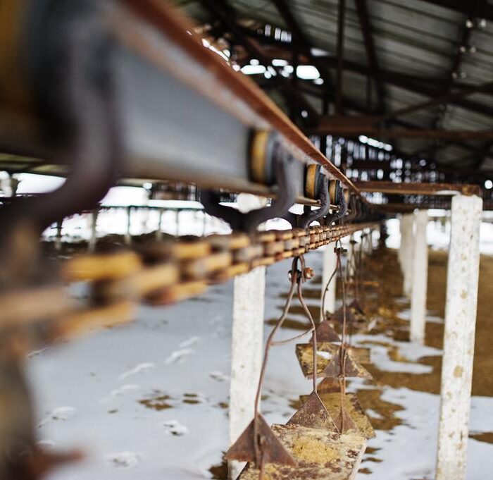 filtraciones en cubierta industrial